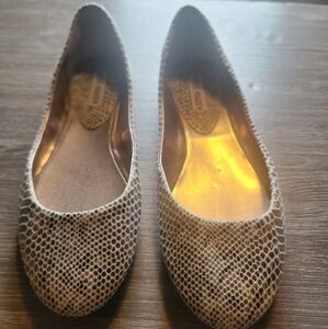 Steve madden p-heaven multicolored snake skin flats